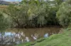 1557 Mount Walker West Road, Rosevale QLD 4340-Image