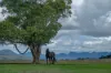 1557 Mount Walker West Road, Rosevale QLD 4340-Image