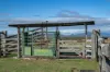 1557 Mount Walker West Road, Rosevale QLD 4340-Image