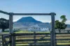 1557 Mount Walker West Road, Rosevale QLD 4340-Image