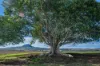 1557 Mount Walker West Road, Rosevale QLD 4340-Image
