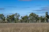 1557 Mount Walker West Road, Rosevale QLD 4340-Image