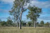 1557 Mount Walker West Road, Rosevale QLD 4340-Image