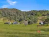 1561 Bowman River Road, Bowman via, Gloucester, NSW 2422-Image
