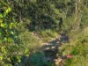 1561 Bowman River Road, Bowman via, Gloucester, NSW 2422-Image