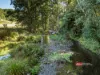 1561 Bowman River Road, Bowman via, Gloucester, NSW 2422-Image