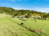 1561 Bowman River Road, Bowman via, Gloucester, NSW 2422-Image