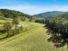 1561 Bowman River Road, Bowman via, Gloucester, NSW 2422-Image