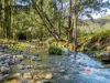 1561 Bowman River Road, Bowman via, Gloucester, NSW 2422-Image