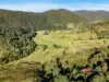 1561 Bowman River Road, Bowman via, Gloucester, NSW 2422-Image