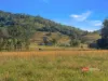 1561 Bowman River Road, Bowman via, Gloucester, NSW 2422-Image
