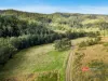 1561 Bowman River Road, Bowman via, Gloucester, NSW 2422-Image