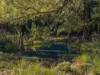 1561 Bowman River Road, Bowman via, Gloucester, NSW 2422-Image