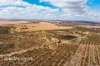 1565 Wogarl West Road, Cramphorne, WA 6420-Image