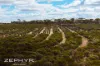 1565 Wogarl West Road, Cramphorne, WA 6420-Image