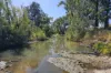1568 Denman Road, Denman, NSW 2328