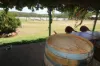 157 Sundown Road, Ballandean QLD 4382-Image