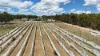 157 Sundown Road, Ballandean QLD 4382-Image
