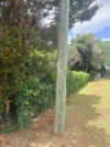 159B Eagle Heights Road, Tamborine Mountain, Qld 4272-Image