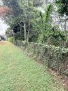 159B Eagle Heights Road, Tamborine Mountain, Qld 4272-Image