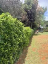 159B Eagle Heights Road, Tamborine Mountain, Qld 4272-Image