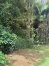 159B Eagle Heights Road, Tamborine Mountain, Qld 4272-Image