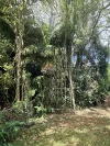 159B Eagle Heights Road, Tamborine Mountain, Qld 4272-Image