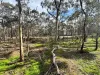 16 Alice Street, Dunolly, Vic 3472-Image