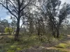 16 Alice Street, Dunolly, Vic 3472-Image