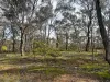 16 Alice Street, Dunolly, Vic 3472-Image