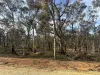 16 Alice Street, Dunolly, Vic 3472-Image