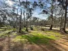 16 Alice Street, Dunolly, Vic 3472-Image