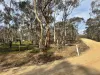 16 Alice Street, Dunolly, Vic 3472-Image