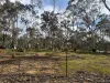 16 Alice Street, Dunolly, Vic 3472-Image