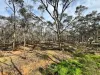 16 Alice Street, Dunolly, Vic 3472-Image