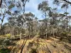 16 Alice Street, Dunolly, Vic 3472-Image