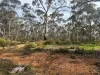 16 Alice Street, Dunolly, Vic 3472-Image