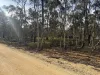 16 Alice Street, Dunolly, Vic 3472-Image