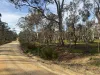 16 Alice Street, Dunolly, Vic 3472-Image