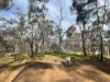 16 Alice Street, Dunolly, Vic 3472-Image