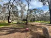 16 Alice Street, Dunolly, Vic 3472-Image