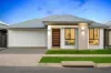 16 Newland Street, Riverlea Park, SA 5120
