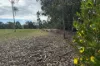 16, Norna Drive, Crowea, WA 6262-Image