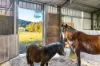 163-187 Petrie Creek Road, Rosemount, Qld 4560-Image