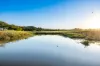 163-187 Petrie Creek Road, Rosemount, Qld 4560-Image