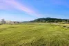 163-187 Petrie Creek Road, Rosemount, Qld 4560-Image