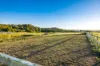 163-187 Petrie Creek Road, Rosemount, Qld 4560-Image