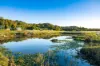 163-187 Petrie Creek Road, Rosemount, Qld 4560-Image