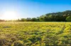 163-187 Petrie Creek Road, Rosemount, Qld 4560-Image