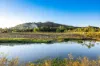 163-187 Petrie Creek Road, Rosemount, Qld 4560-Image